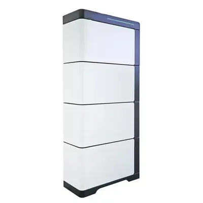 Portable energy storage module